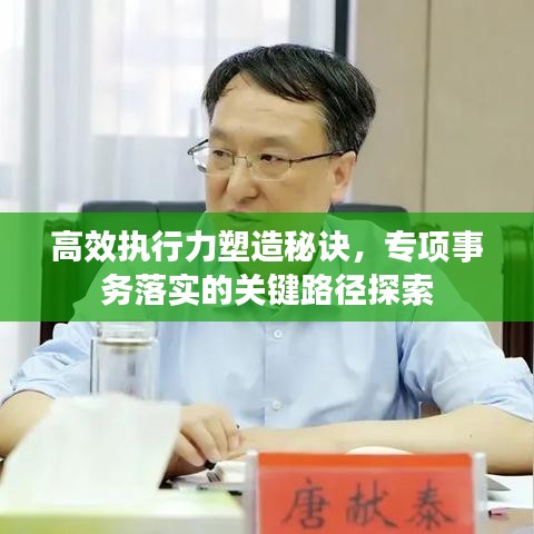 高效执行力塑造秘诀，专项事务落实的关键路径探索