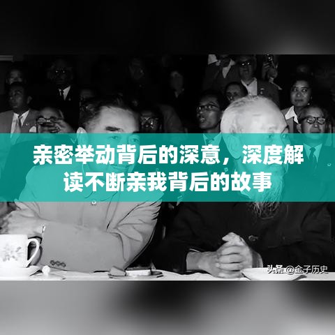 亲密举动背后的深意，深度解读不断亲我背后的故事