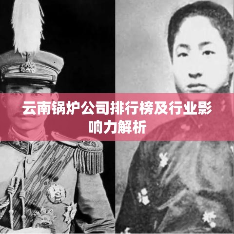 云南锅炉公司排行榜及行业影响力解析