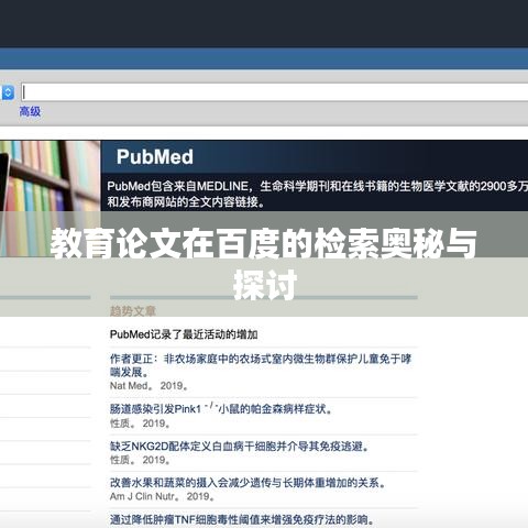 教育论文在百度的检索奥秘与探讨
