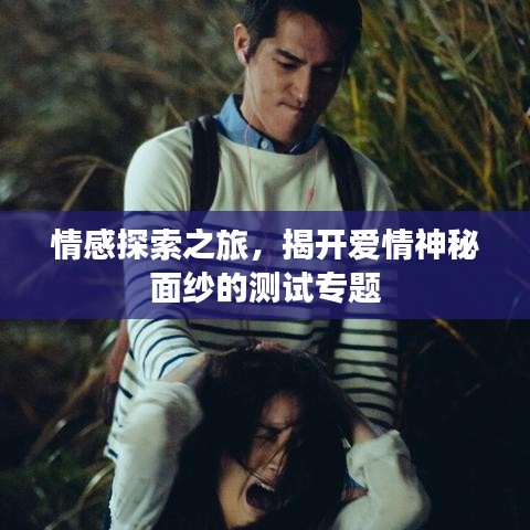 情感探索之旅，揭开爱情神秘面纱的测试专题
