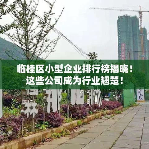 临桂区小型企业排行榜揭晓！这些公司成为行业翘楚！