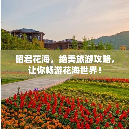 昭君花海，绝美旅游攻略，让你畅游花海世界！