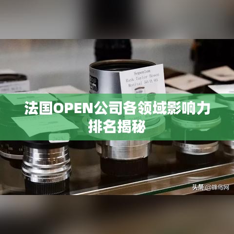 法国OPEN公司各领域影响力排名揭秘