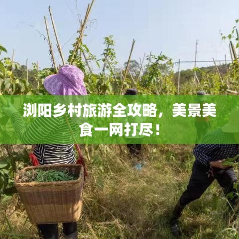 张张屈屈