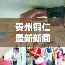 鸟啼花怨