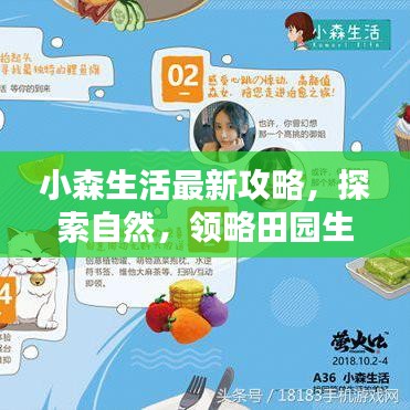 小森生活最新攻略，探索自然，领略田园生活魅力
