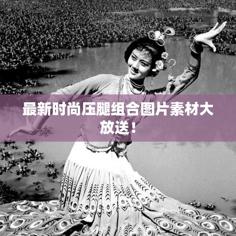 一毫不苟