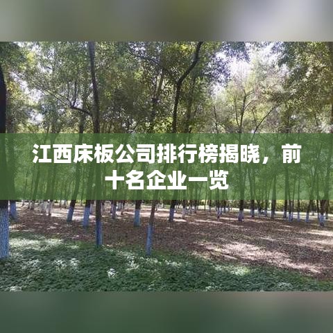 江西床板公司排行榜揭晓，前十名企业一览