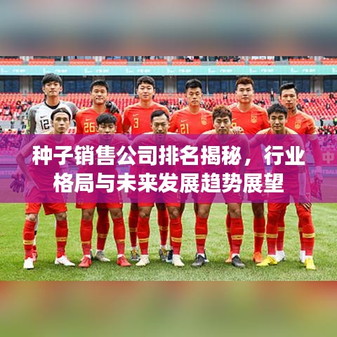 种子销售公司排名揭秘，行业格局与未来发展趋势展望