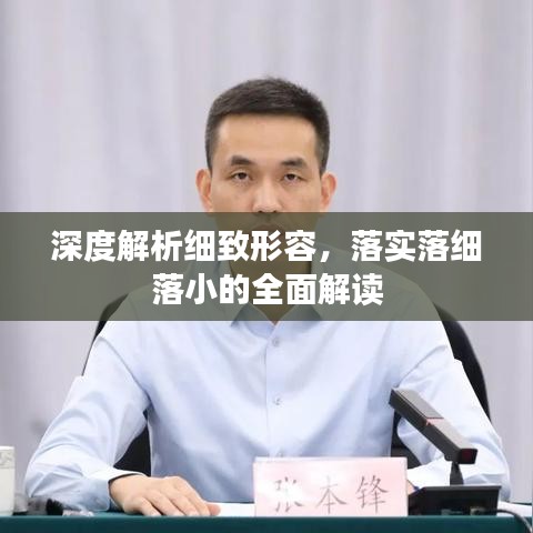深度解析细致形容，落实落细落小的全面解读