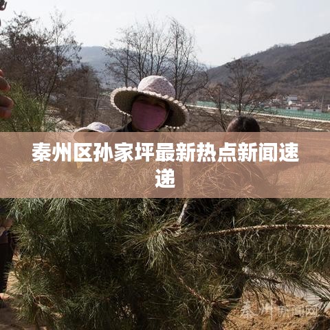 秦州区孙家坪最新热点新闻速递
