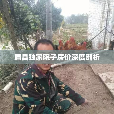 眉县独家院子房价深度剖析