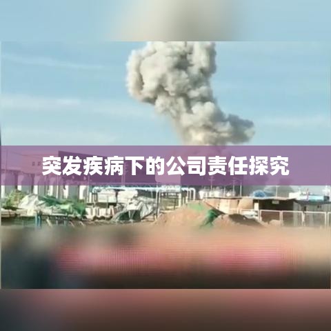 突发疾病下的公司责任探究