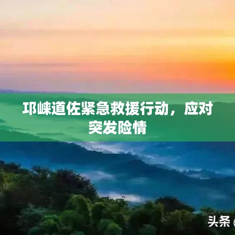 邛崃道佐紧急救援行动，应对突发险情