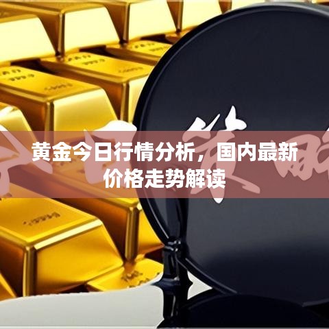黄金今日行情分析，国内最新价格走势解读