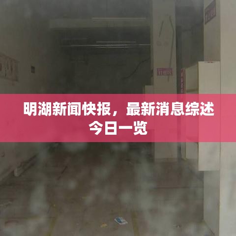 明湖新闻快报，最新消息综述今日一览