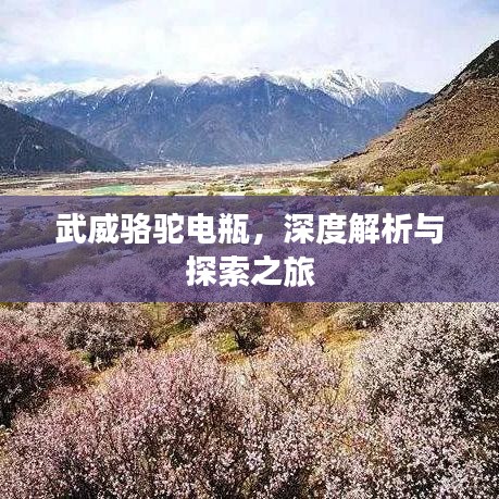 武威骆驼电瓶，深度解析与探索之旅
