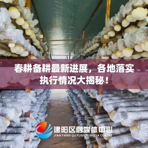 春耕备耕最新进展，各地落实执行情况大揭秘！
