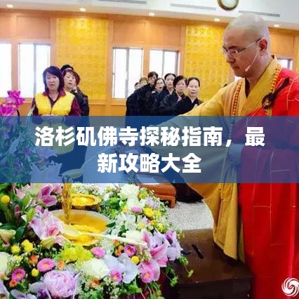 笨鸟先飞