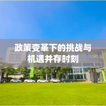 政策变革下的挑战与机遇并存时刻