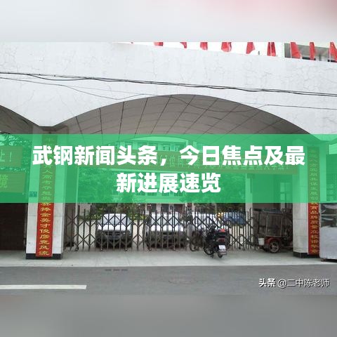 武钢新闻头条，今日焦点及最新进展速览