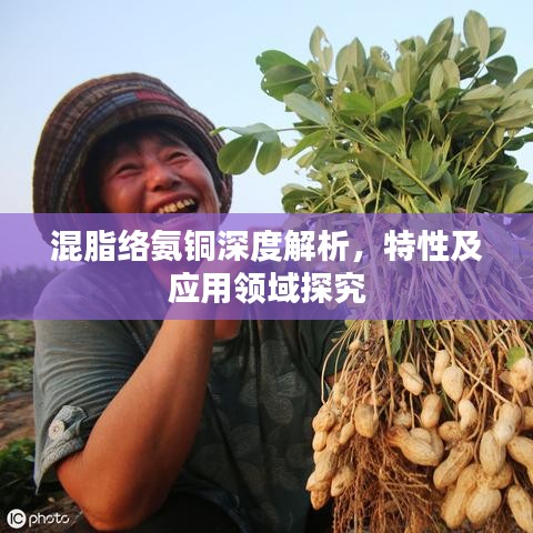 荡然无存