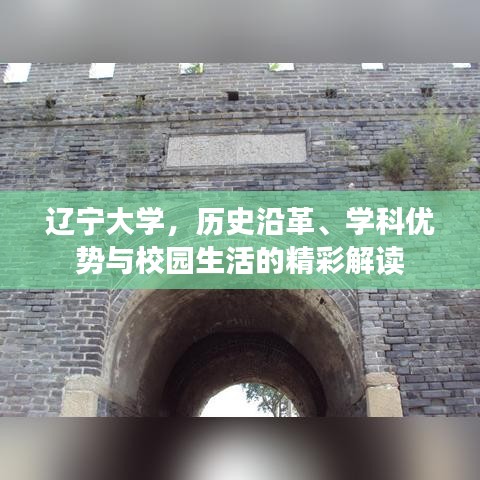 辽宁大学，历史沿革、学科优势与校园生活的精彩解读