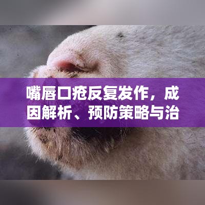 嘴唇口疮反复发作，成因解析、预防策略与治疗方法探讨