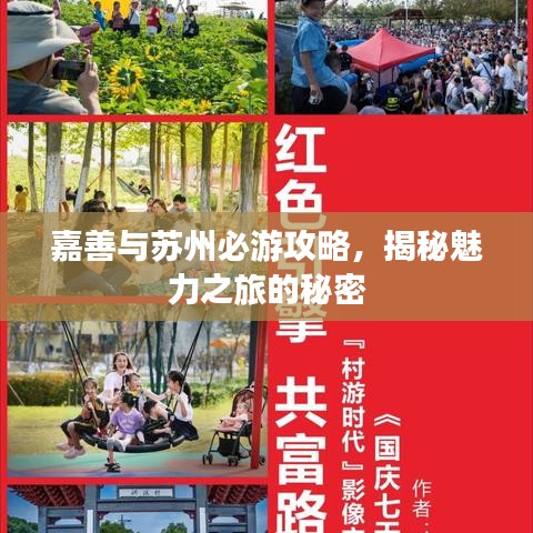 嘉善与苏州必游攻略，揭秘魅力之旅的秘密