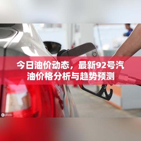 螓首蛾眉