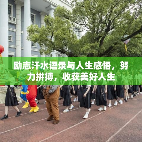 励志汗水语录与人生感悟，努力拼搏，收获美好人生