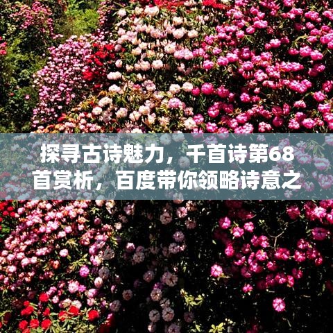 盖世英雄