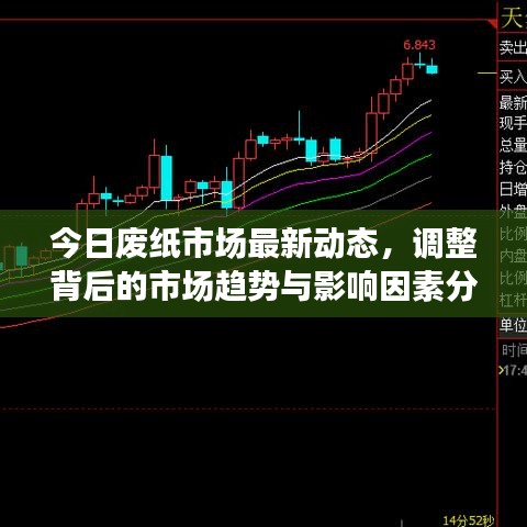 今日废纸市场最新动态，调整背后的市场趋势与影响因素分析