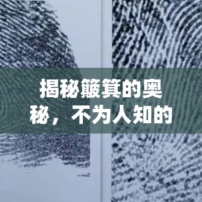 揭秘簸箕的奥秘，不为人知的秘密大揭秘！