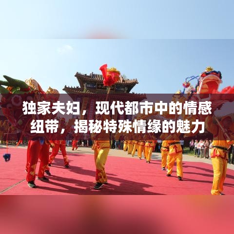 独家夫妇，现代都市中的情感纽带，揭秘特殊情缘的魅力