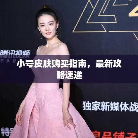 小号皮肤购买指南，最新攻略速递