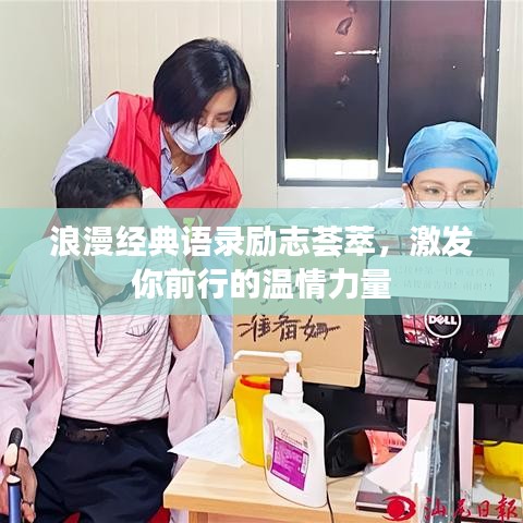 小鸟伊人