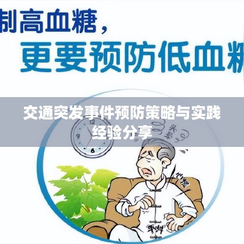 交通突发事件预防策略与实践经验分享