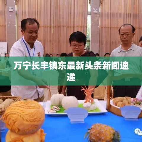 万宁长丰镇东最新头条新闻速递