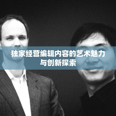 独家经营编辑内容的艺术魅力与创新探索