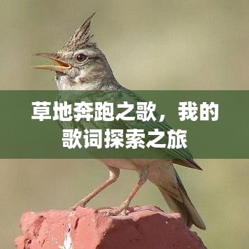 草地奔跑之歌，我的歌词探索之旅