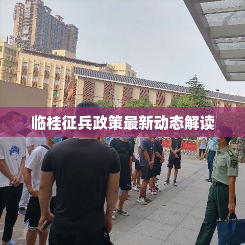 临桂征兵政策最新动态解读