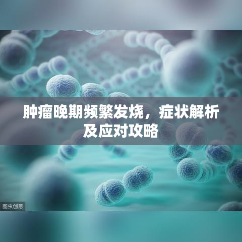 肿瘤晚期频繁发烧，症状解析及应对攻略