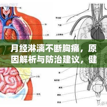 绰约多姿