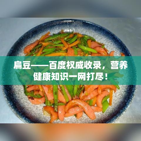 扁豆——百度权威收录，营养健康知识一网打尽！