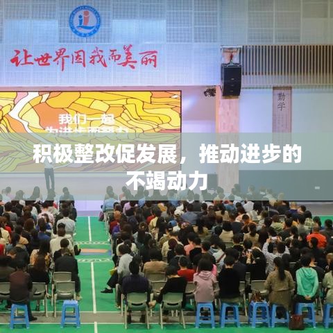 积极整改促发展，推动进步的不竭动力