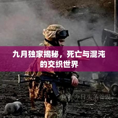 九月独家揭秘，死亡与混沌的交织世界