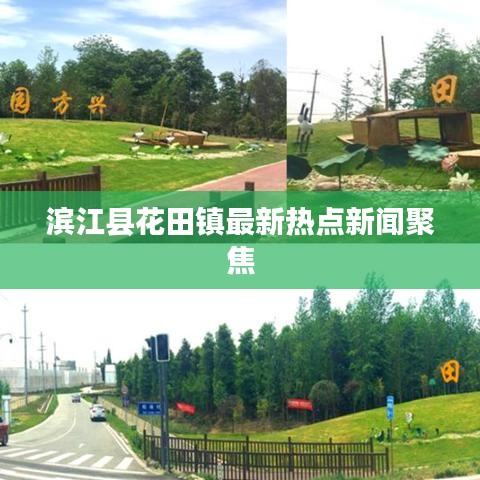 滨江县花田镇最新热点新闻聚焦
