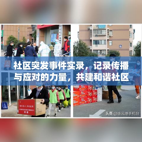 社区突发事件实录，记录传播与应对的力量，共建和谐社区安全防线